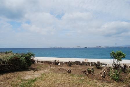 Bild 15 Marseille.JPG